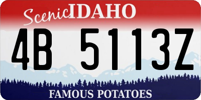 ID license plate 4B5113Z