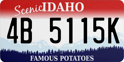 ID license plate 4B5115K