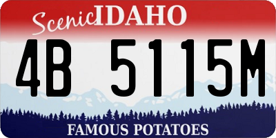 ID license plate 4B5115M
