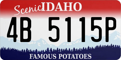 ID license plate 4B5115P