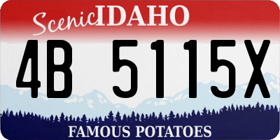 ID license plate 4B5115X