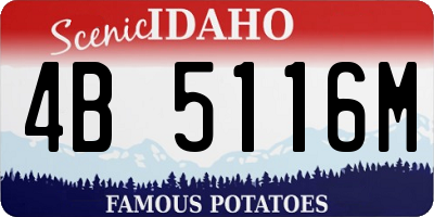 ID license plate 4B5116M