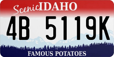 ID license plate 4B5119K