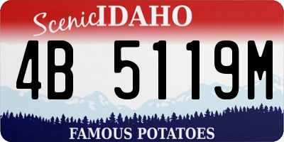 ID license plate 4B5119M