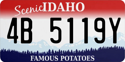 ID license plate 4B5119Y