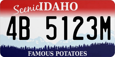 ID license plate 4B5123M