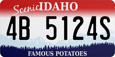 ID license plate 4B5124S