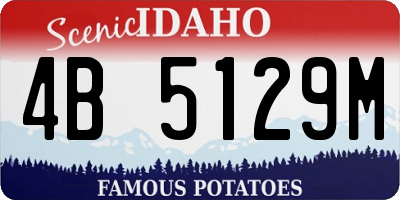 ID license plate 4B5129M