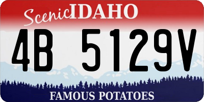 ID license plate 4B5129V