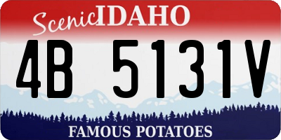 ID license plate 4B5131V