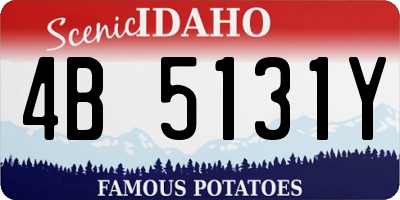 ID license plate 4B5131Y
