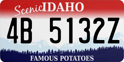 ID license plate 4B5132Z