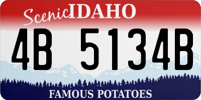 ID license plate 4B5134B