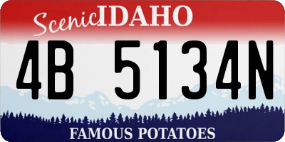 ID license plate 4B5134N