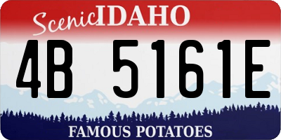 ID license plate 4B5161E