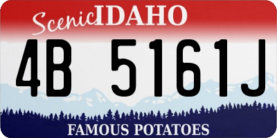 ID license plate 4B5161J