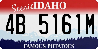 ID license plate 4B5161M