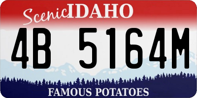 ID license plate 4B5164M
