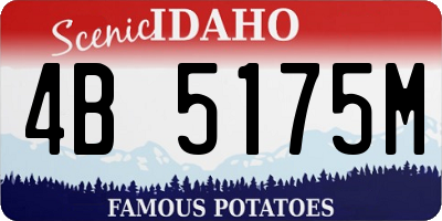 ID license plate 4B5175M