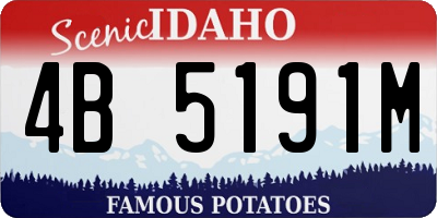 ID license plate 4B5191M