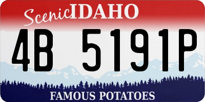 ID license plate 4B5191P