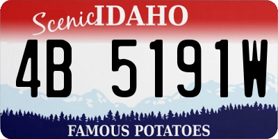 ID license plate 4B5191W