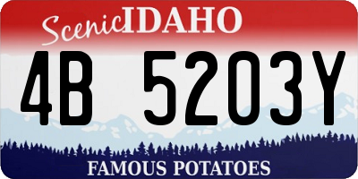 ID license plate 4B5203Y