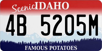 ID license plate 4B5205M