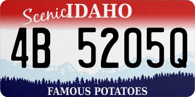 ID license plate 4B5205Q