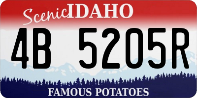 ID license plate 4B5205R