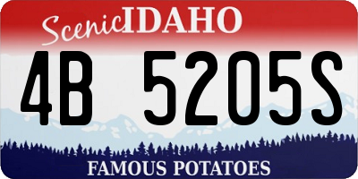 ID license plate 4B5205S
