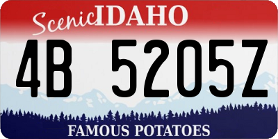 ID license plate 4B5205Z