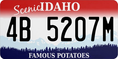 ID license plate 4B5207M