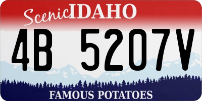 ID license plate 4B5207V