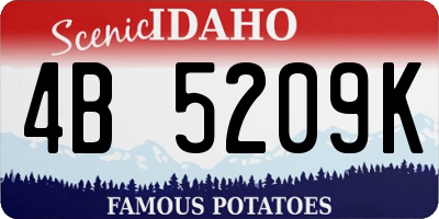 ID license plate 4B5209K