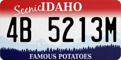ID license plate 4B5213M