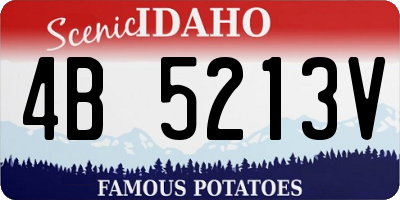 ID license plate 4B5213V