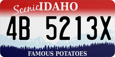 ID license plate 4B5213X