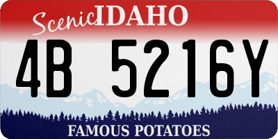 ID license plate 4B5216Y