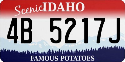 ID license plate 4B5217J