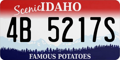 ID license plate 4B5217S