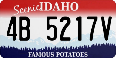 ID license plate 4B5217V