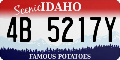 ID license plate 4B5217Y