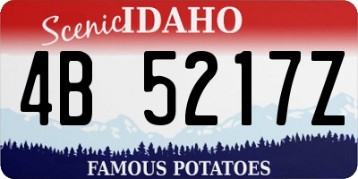 ID license plate 4B5217Z