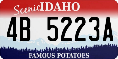 ID license plate 4B5223A