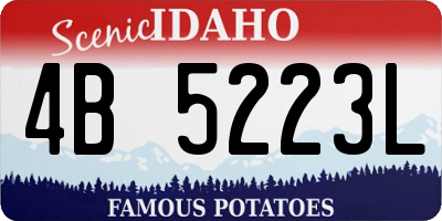 ID license plate 4B5223L