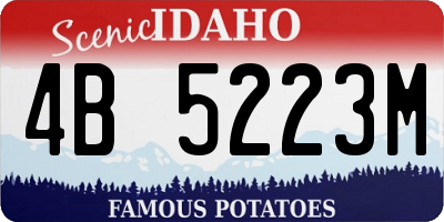 ID license plate 4B5223M