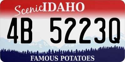 ID license plate 4B5223Q