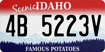 ID license plate 4B5223V