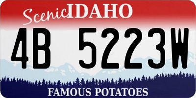 ID license plate 4B5223W